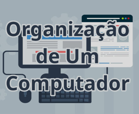 Organização De Um Computador